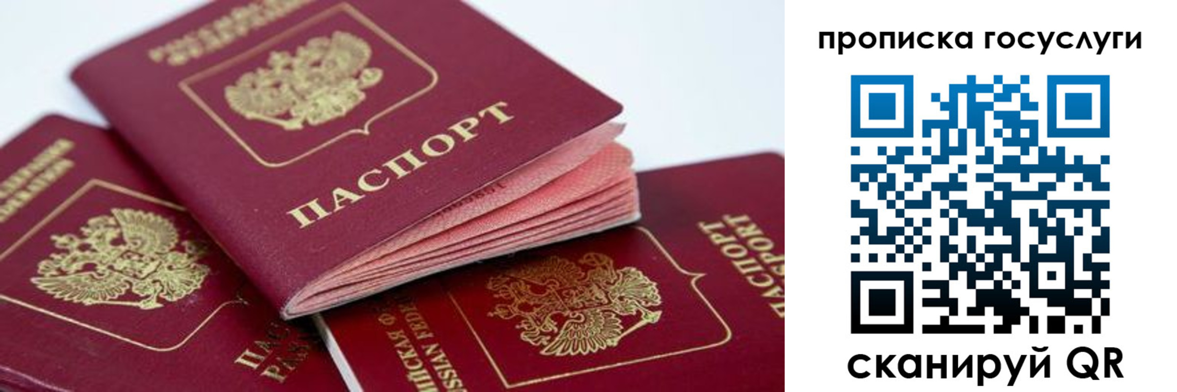 прописка штамп в Липецке